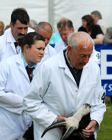 Full concentration is required as judging takes place.