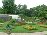 Gardens at Calke