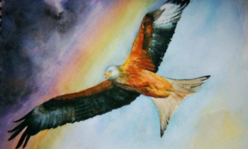 watercolour-red-kite-by-ann.jpg