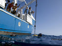 The launch of the Argo float