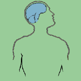 The Brain BBC World Service