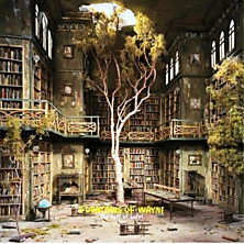 Review of Sky Full of Holes Review of Sky Full of Holes