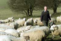 Bugail - cyffredinol