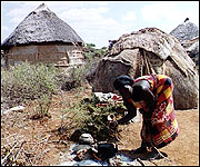 Village in Somalia 