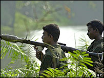 ببرهای تاميل 