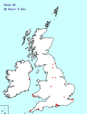 great northern diver bird track map