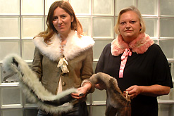 Guests Aileen Ribeiro and Shelly Vella