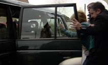 Scarlett is kidnapped