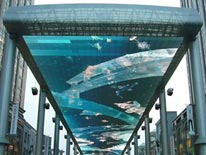 A high tech Chinese street display.