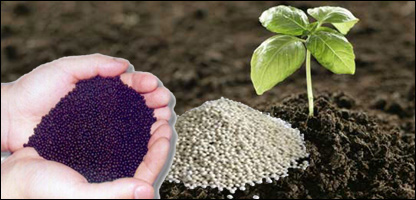 کودکيميايی