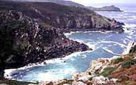 Photograph showing the coastline at Zennor head, Cornwall