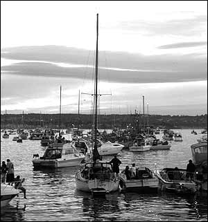 عکس از محمد علی فاخری