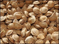 دزردآلوزړي