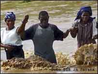 Cheais moçambicanas