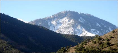 د ځنګلونو ساتنه 