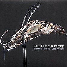 Review of Sound Echo Location Review of Sound Echo Location