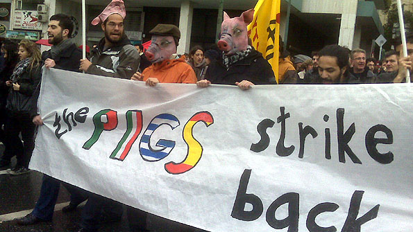 pigs595.jpg