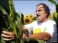 Genetik ürünlü tarlanın yakınlarındaki Begles'in belediye başkanı Noel Mamere söktüğü ürünle.