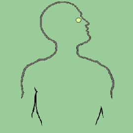 The Eyes BBC World Service