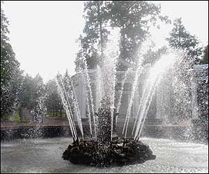 عکس از پدرام رفيعی