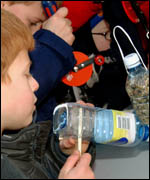 Country park workshop 