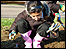 School girl bulb planting