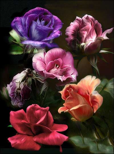 اقسام گل مرسل