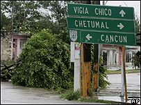 Árvore caída em Felipe Carrillo, na península de Yucatán