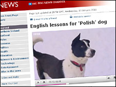 English lessons for 'Polish' dog