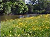 Thistley Place Meadow