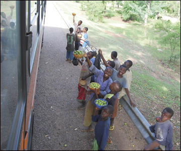 Ghana: Beaming smiles aimed at prospective buyers on a highway bus near Bolgatanga help these boys sell their stock of shea nuts.