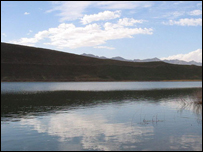 داوبو قانون