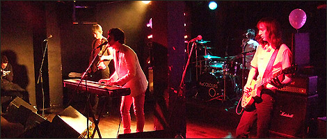 The Colours at the Fez