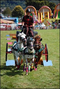 Chariots of Fire were high speed entertainment