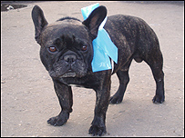 Це не делегат з'їзду. Просто прихильник