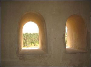 عکس از معین نبی پور