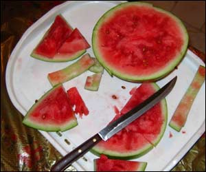 عکس از آرش الياسی