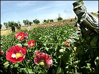 پوست کی کاشت