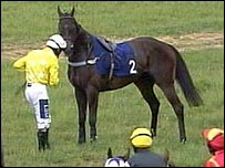 Célula cancerígena