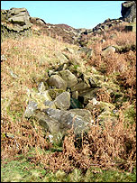 Rocks in the Peak District
