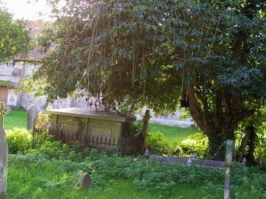 The beauty of the dead