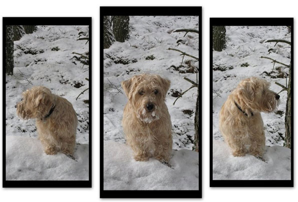 Photos by David Packer