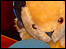 Sooty at BBC Leicester