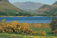 Llyn Nantlle