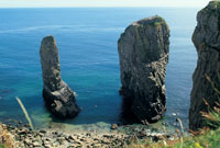 Stack Rocks o arfordir Broad Haven © Bwrdd Croeso Cymru