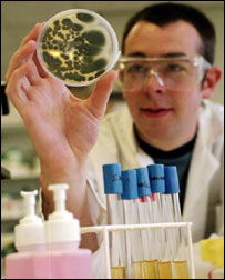 化验室中的大学生