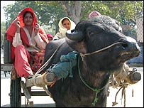 एक किसान परिवार