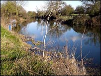Alongside the canal at Woodham Walter 
