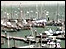 Cowes Yacht Haven