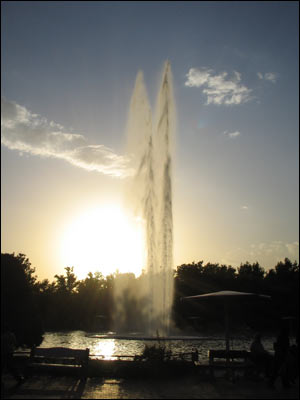 عکس از محسن هجری